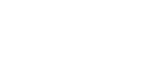 palette en bois tunisie